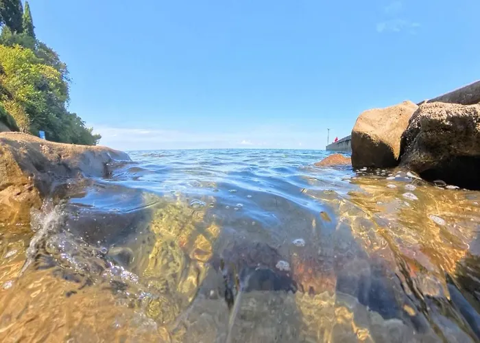 Apartma Plaza בפורטורוז